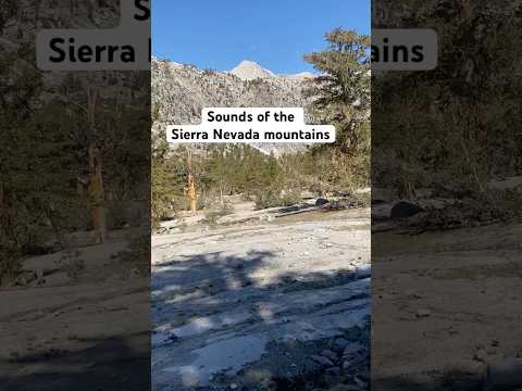 What Heaven Sounds Like