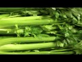 Celery Song