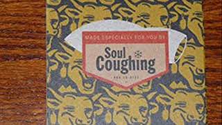 Soul Coughing - Janine (live)
