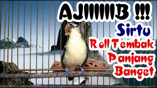 Download lagu Cipoh Sirtu Roll Tembak Panjang MANTAP Banget Bikin Sirtu Lain Greget Gacor Koar-Koar mp3 Download lagu Cipoh Sirtu Roll Tembak Panjang MANTAP Banget Bikin Sirtu Lain Greget Gacor Koar-Koar mp3