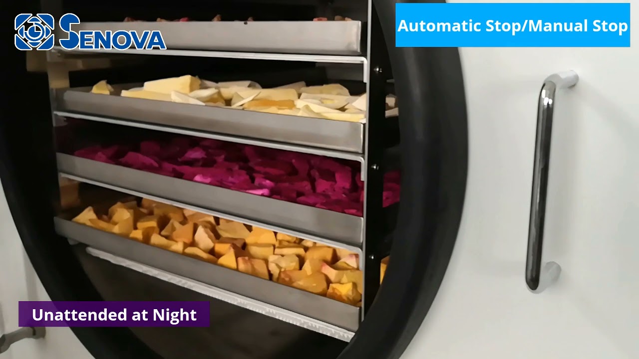 Senova Small Medium Home Restaurant Snack Bar Commercial Freeze Dried Food Freeze Dryer Machine