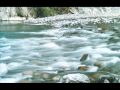Song Never Sung (Mariko Hamada) 