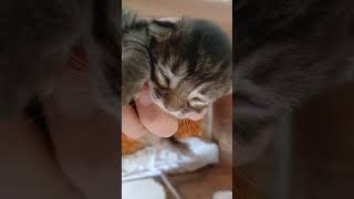 18 de setembro de 2025