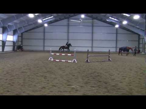 Cinzano the horse, practice jumping.