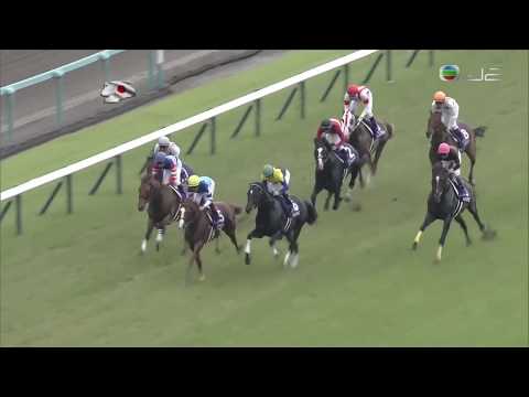 2017 寶塚紀念賽 宝塚記念 里見皇冠 Satono Crown サトノクラウン