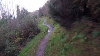 Plus Bike Maiden Voyage - Castlewellan - Trek Roscoe 9
