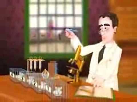 Griffith Transformation 88 sec