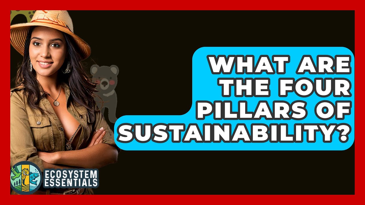 What Are The Four Pillars Of Sustainability? - Ecosystem Essentials