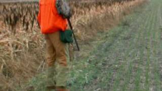 preview picture of video 'German Shorthaired Pointer Bailey pheasant hunting'