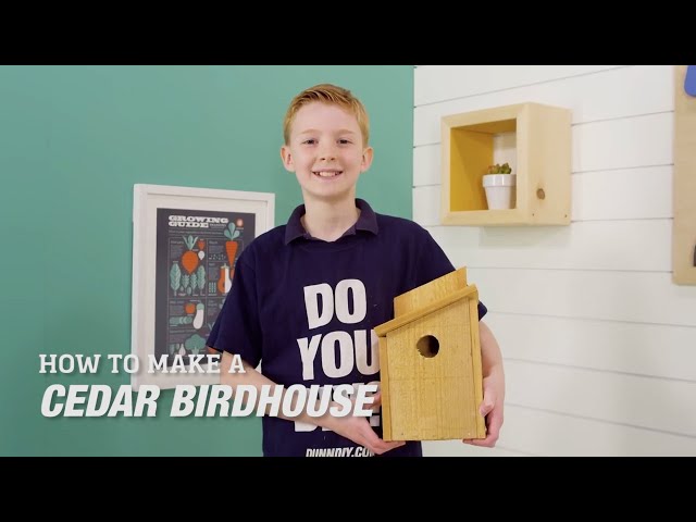 How to Build an Inexpensive Cedar Birdhouse