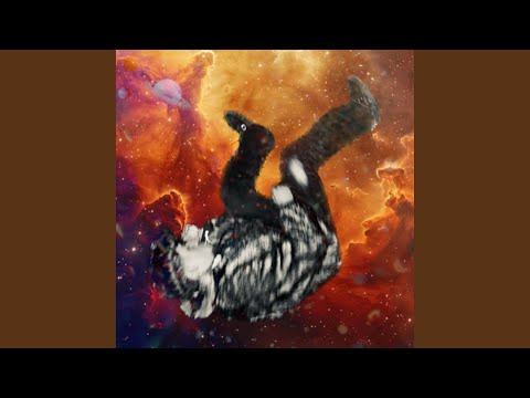 BITCH dans le sofa II (feat. 36mon)