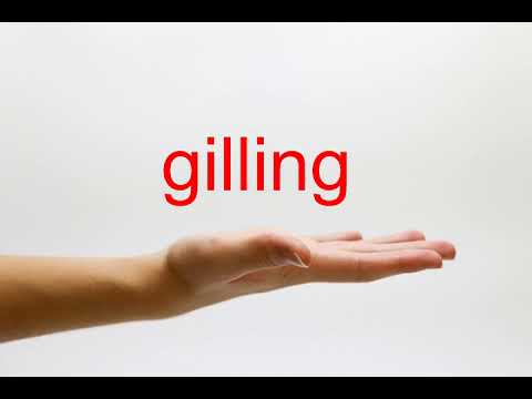 How to Pronounce gilling - American English