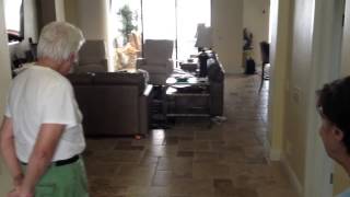 Coton de Tulear - Front Door Manners - Dog Training of Fort Myers
