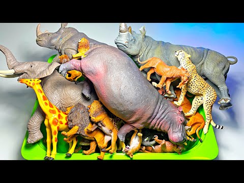 African Animals Figurines Collection - Lion, Elephant, Rhinoceros, Cheetah, Okapi, Gorilla, Hyena