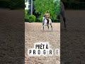 COACHING PRIVÉ – DRESSAGE, ÉQUITATION DE LÉGÈRETÉ
