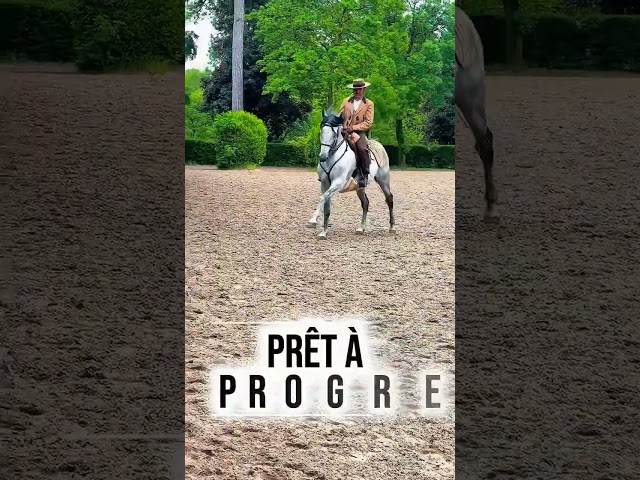 COACHING PRIV&Eacute; &ndash; DRESSAGE, &Eacute;QUITATION DE L&Eacute;G&Egrave;RET&Eacute; 