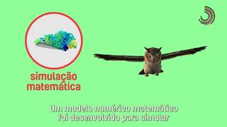 Ciência SP | Aviões mais silenciosos