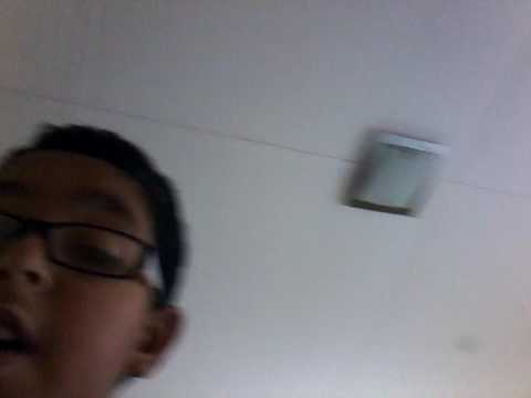 Vlog tuesday II house tour 79 sunshine avenue karori