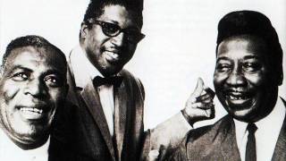 Muddy Waters & Bo Diddley & Howling Wolf & Buddy Guy & Otis Span - Going Down Slow