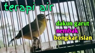 Download lagu terapi air pleci dakun garut nembak bongkar isian. mp3