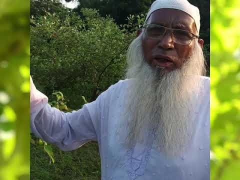 Sharif Mixed Fruits Garden by Abdur Rahman Sharif