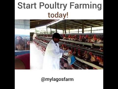, title : 'How To Start Poultry farming in Nigeria'