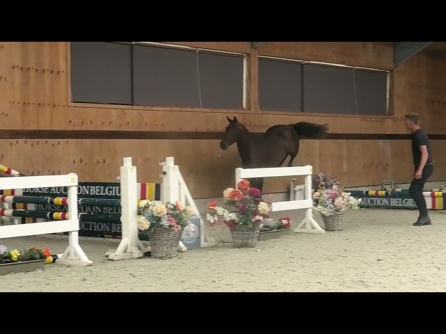 Jumping