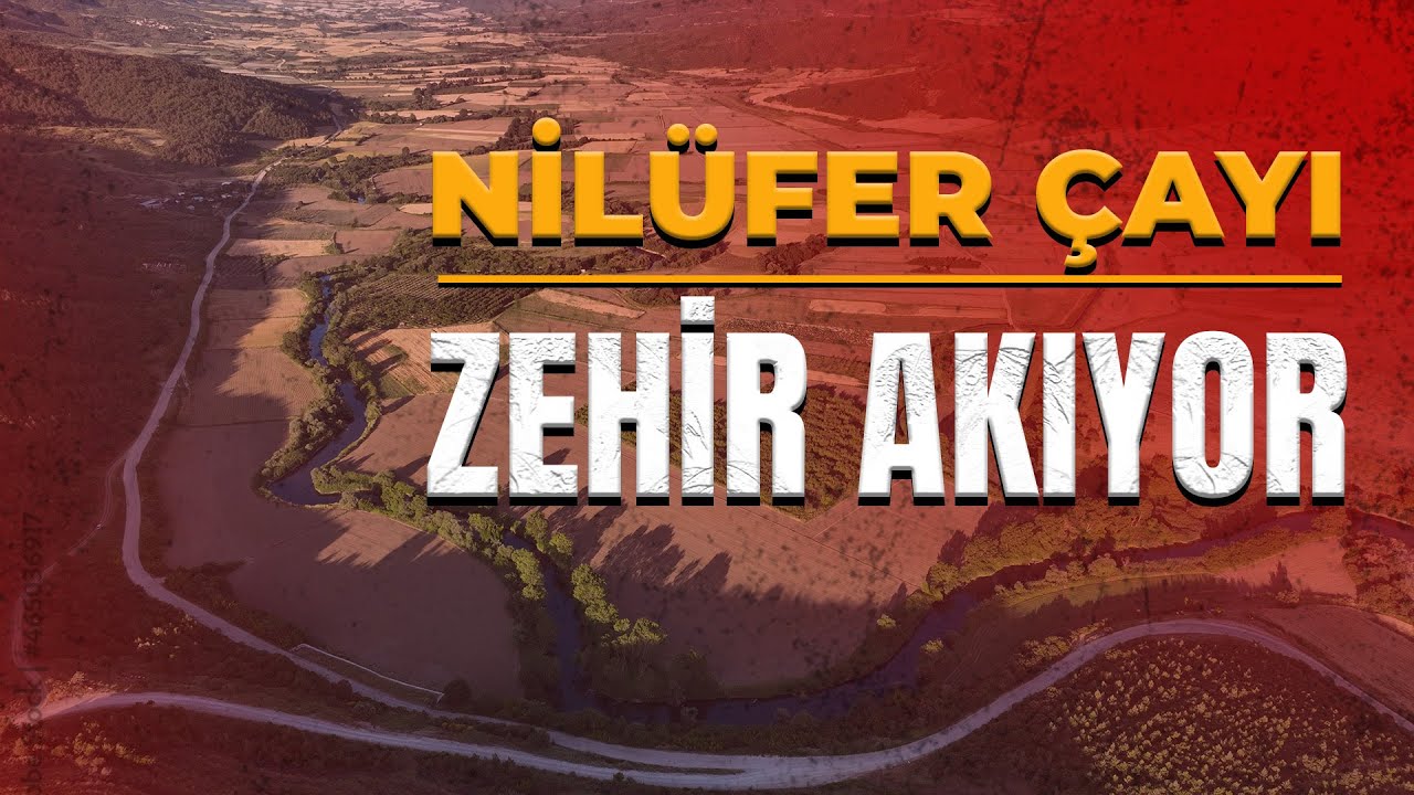 Bursa’nın Can Damarı Nilüfer Çayı Can Çekişiyor