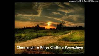 Chinnanchiru Kiliye Chithira Poovizhiye