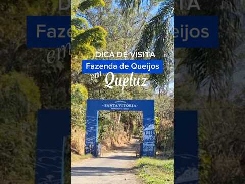 VISITA À FAZENDA QUEIJARIA SANTA VITÓRIA EM QUELUZ - SP #dicasdeviagem #fazendasantigas #gastronomia