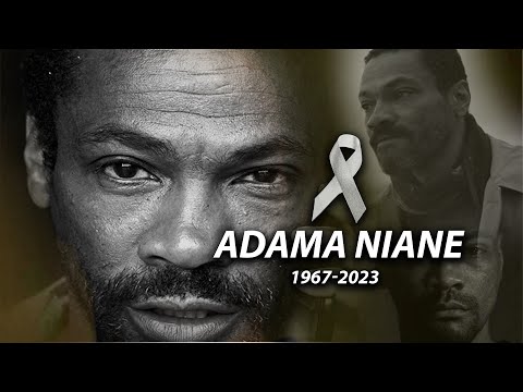 Netflix TV Series - Lupin star Adama Niane dies aged 56 - ~ Celebrity Buzz