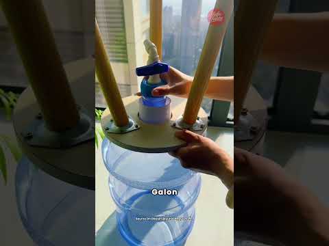 Satu ekosistem akuarium dengan biaya rendah