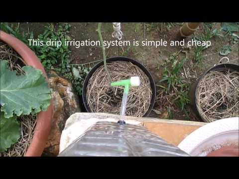 Creating A Simple Drip Irrigation System from Plastic Bottle Video