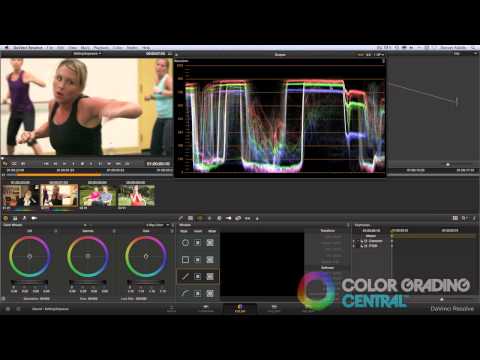 DaVinci Resolve 9 Setting Exposure