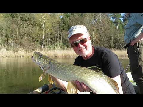 Entenköder – Neuer Oberflächenköder in flachen Gewässern mit Wolle (AAL Köder Teil 9)