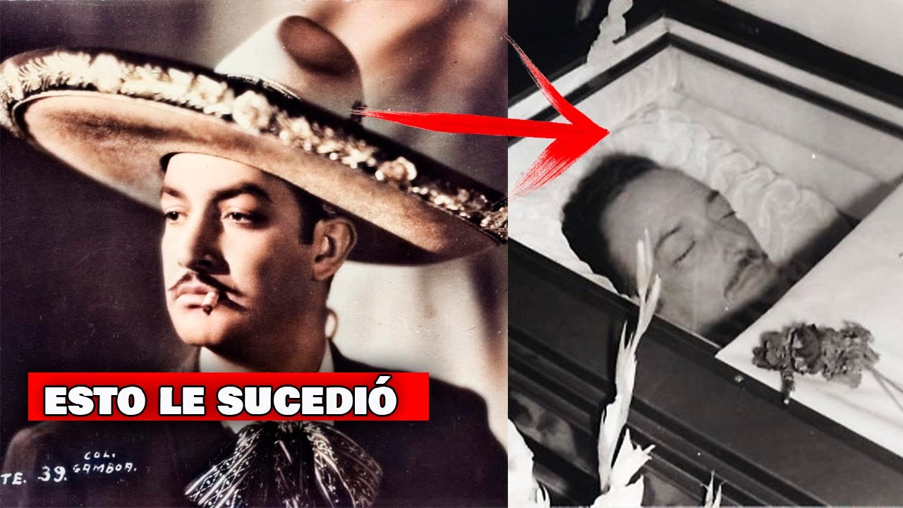 YouTube Thumbnail Downloader FULL HQ IMAGE