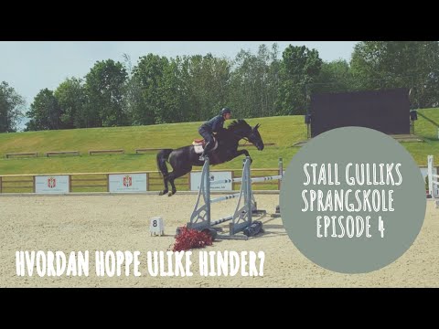 Stall Gulliks sprangskole - Hvordan hoppe ulike hinder