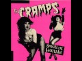 the cramps - Psychotic Reaction 