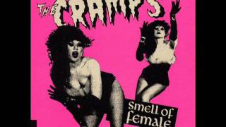 the cramps -  Psychotic Reaction