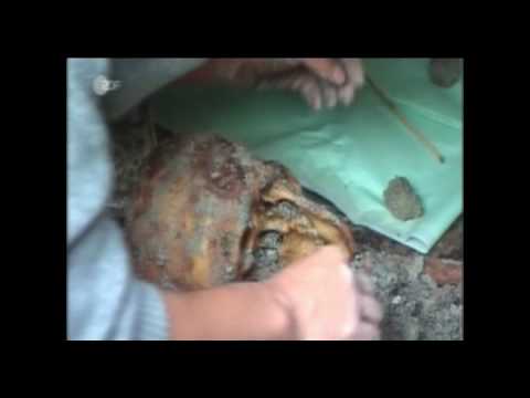 Sagenhafte Völker - Das Amazonenrätsel 1/5