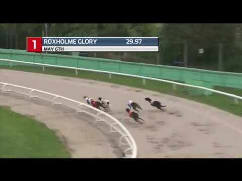 2019 DERBY TRIAL STAKES - T1 ROXHOLME GLORY - 6/05/2019