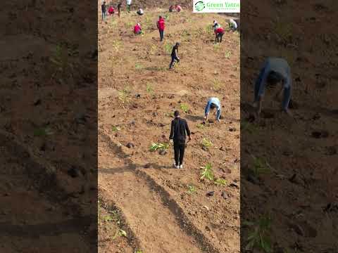 The Impact Series: Nagla Bunder , Thane