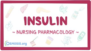 Insulin: Nursing Pharmacology
