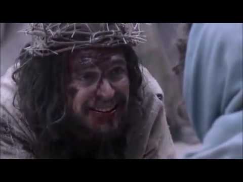 Ks. Stefan Ceberek - Tłumy Serc