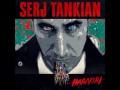 Forget Me Knot - Serj Tankian