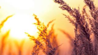 In the Stillness of this Moment - Simone Awhina