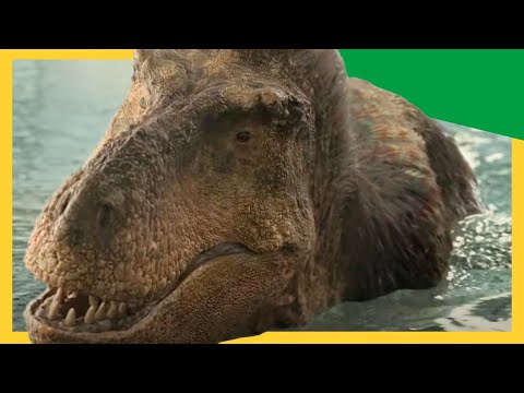 🦸‍♀️ Kayla vs. T-Rex! The Ultimate Swim Challenge! 🦖 |  Dinosaurs Adventures for Kids | @DinoKids