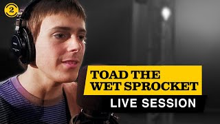TOAD THE WET SPROCKET - Live in 1994 | WALK ON THE OCEAN, FALL DOWN + a KISS cover