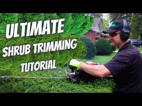 The Ultimate Shrub Trimming Tutorial | Keith Kalfas
