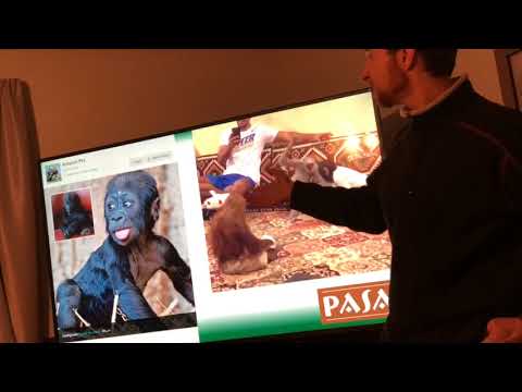 PASA Pan African Sanctuary Alliance 2018 01 18 Presentation